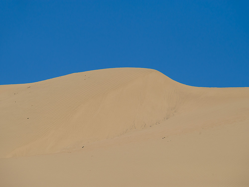 sand dunes