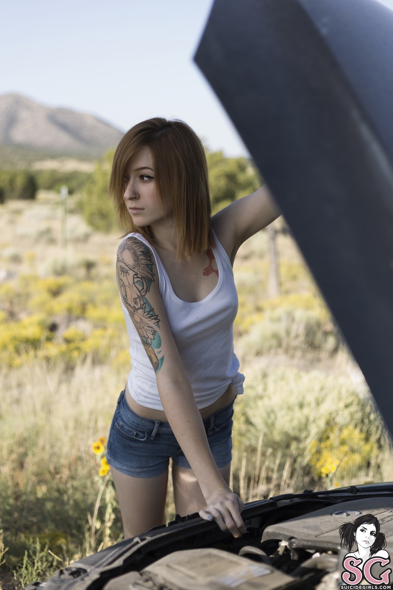 morikat-flirtyroad-03.jpg