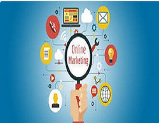 Looking for Best SEO Company in NZ at Affordable Price