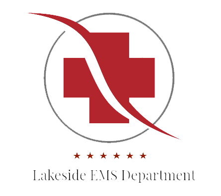 LSMS Logo