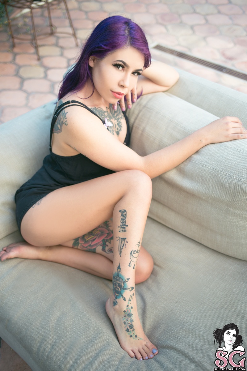 panther-violetmuse-01.jpg