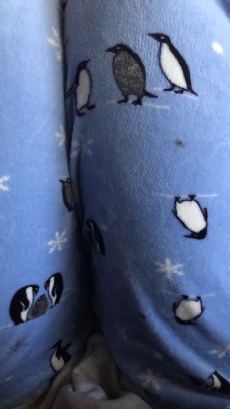 Penguins