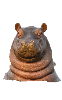 hippo.png
