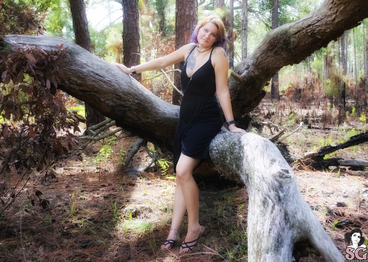 tatcat-ifatreefallsinthewoods-01.jpg