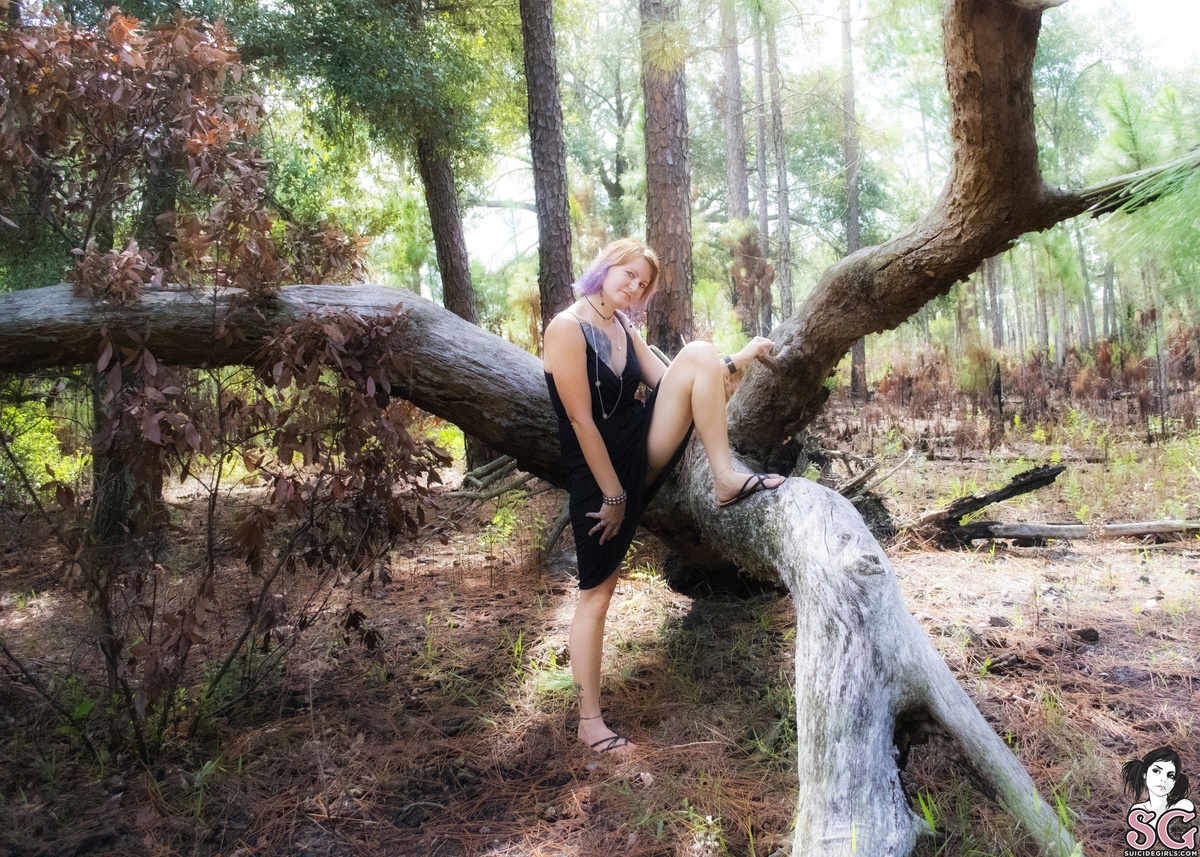 tatcat-ifatreefallsinthewoods-03.jpg