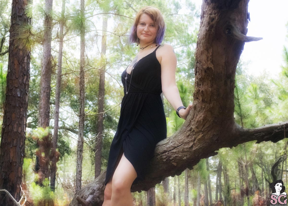 tatcat-ifatreefallsinthewoods-05.jpg