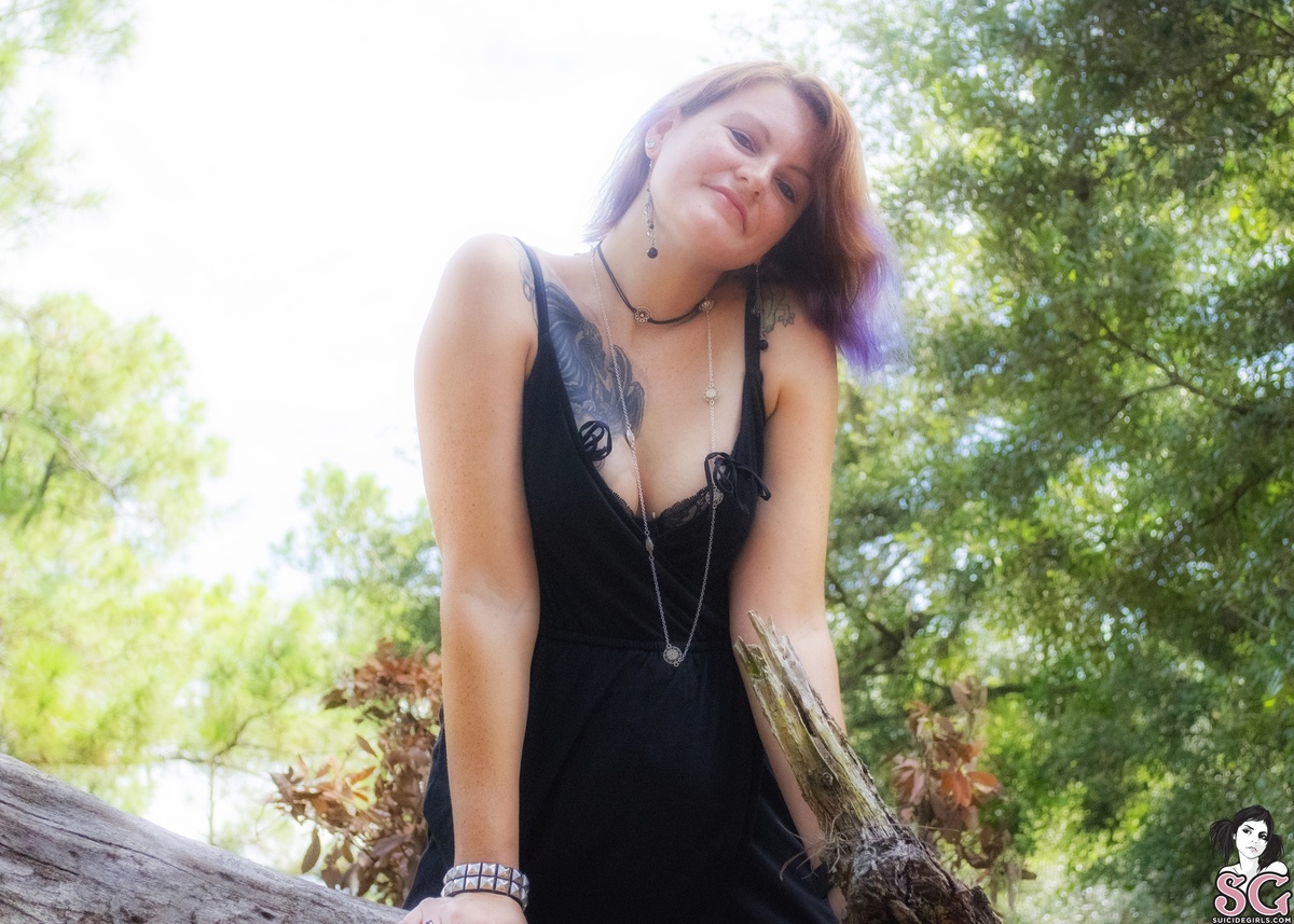 tatcat-ifatreefallsinthewoods-13.jpg