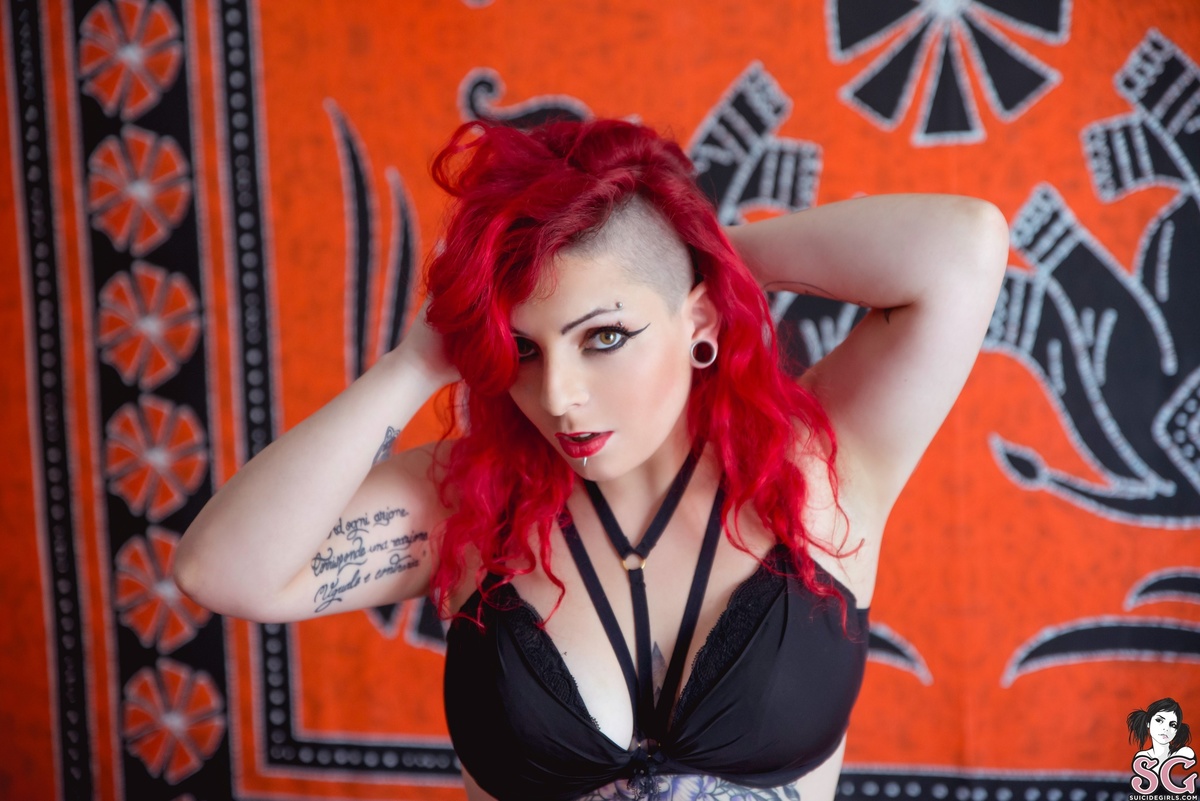 rosescarlet-redness-01.jpg