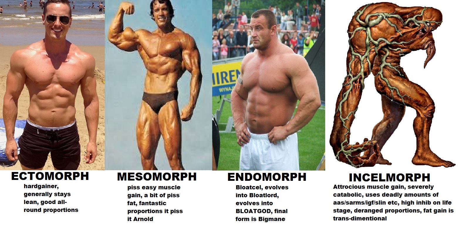 compare.jpg