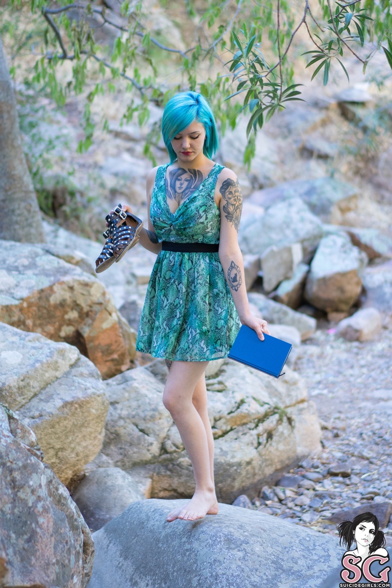 sphynxmirty-greenday-01.jpg