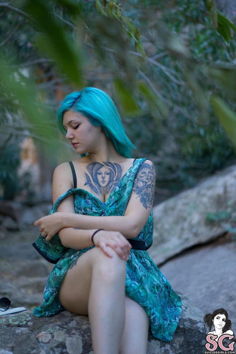 sphynxmirty-greenday-15.jpg