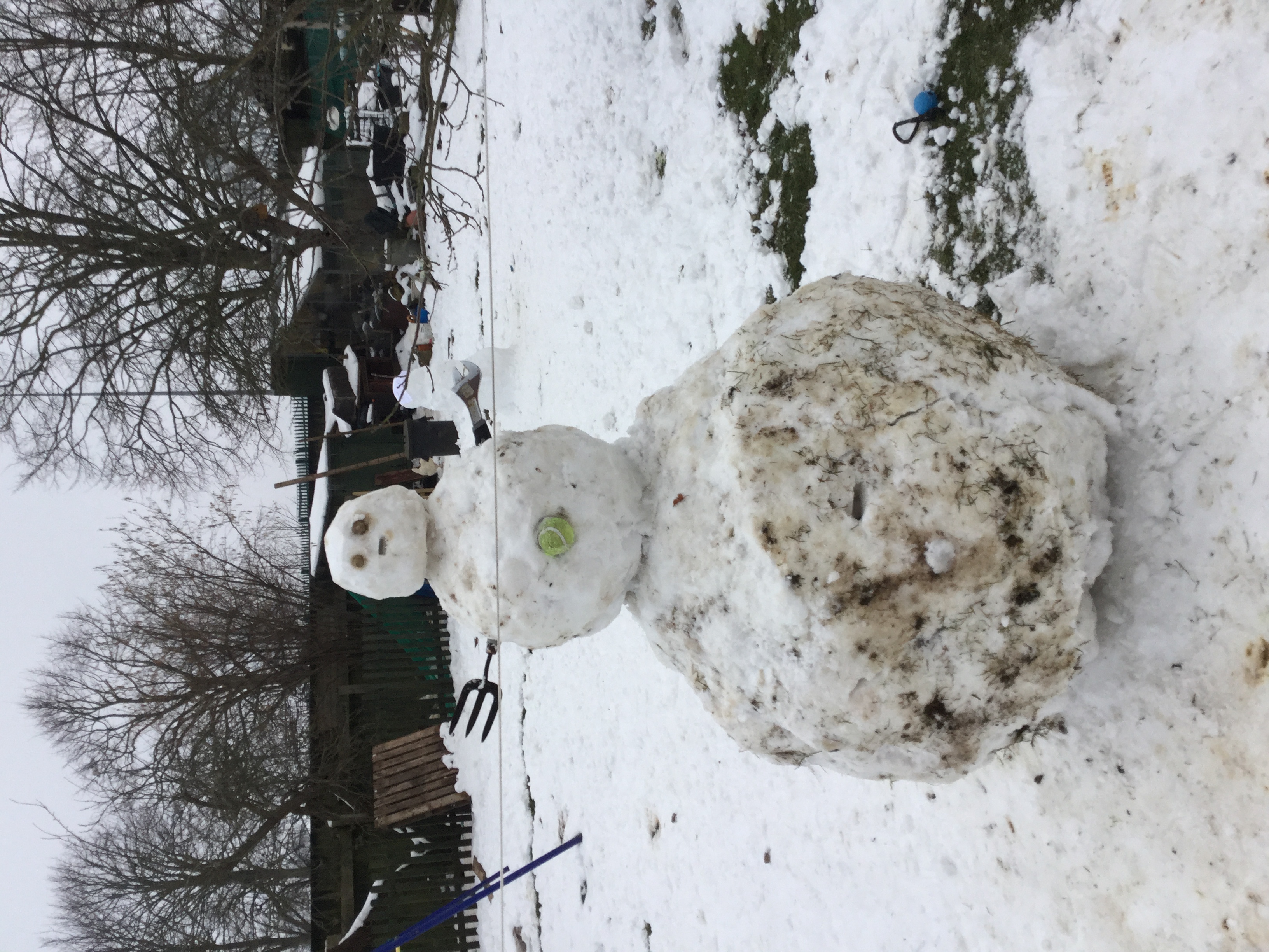 STEVETHESNOWMAN.JPG