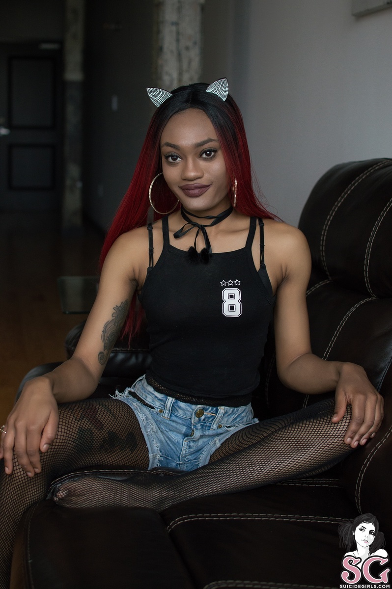kittenppharm-meow-07.jpg