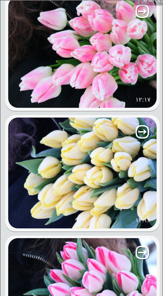 screen_2018-03-06_13-06-18_window.png