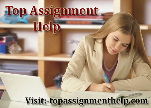 Top Assignment Help