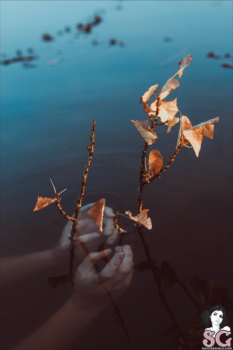 aonbheannach-toautumn-29.jpg
