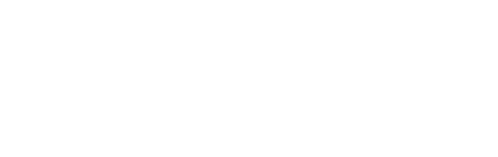 nvlogo2.png