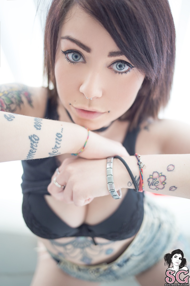 rayl-husky-09.jpg