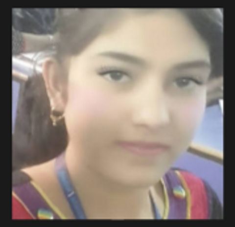 RIS.jpg