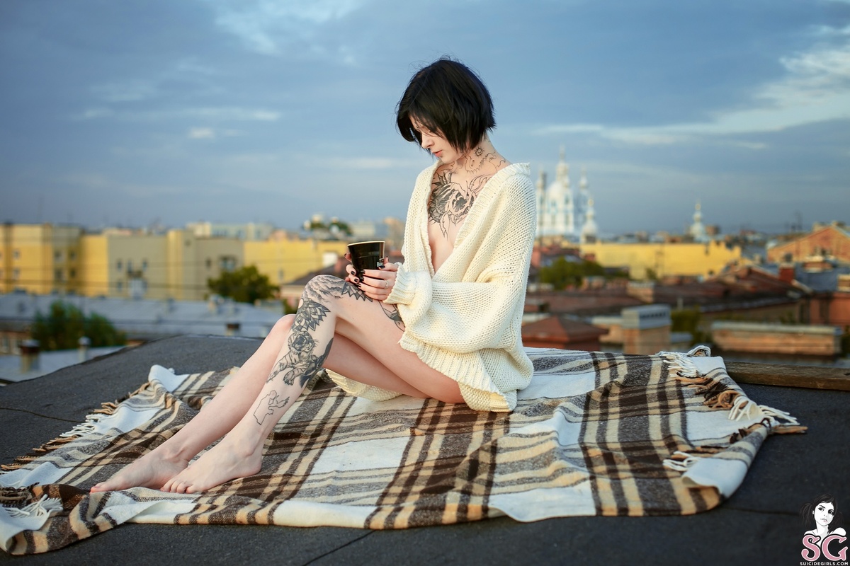 mitziwolf-welcometostpete-01.jpg