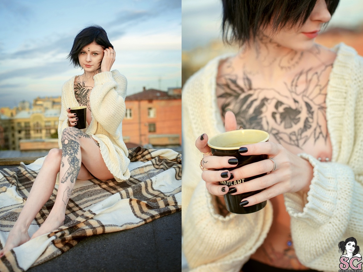 mitziwolf-welcometostpete-03.jpg