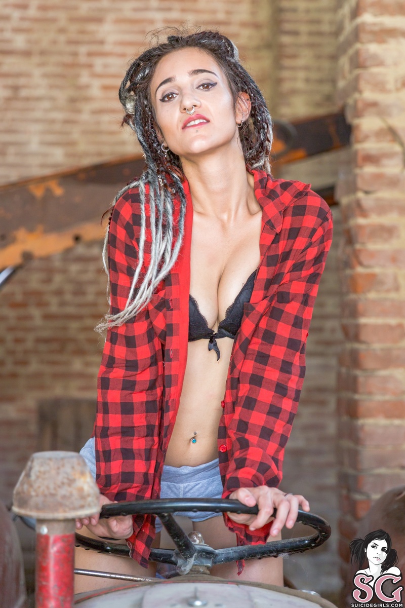 lastquartermoon-arideonahotoldfarmtractor-05.jpg