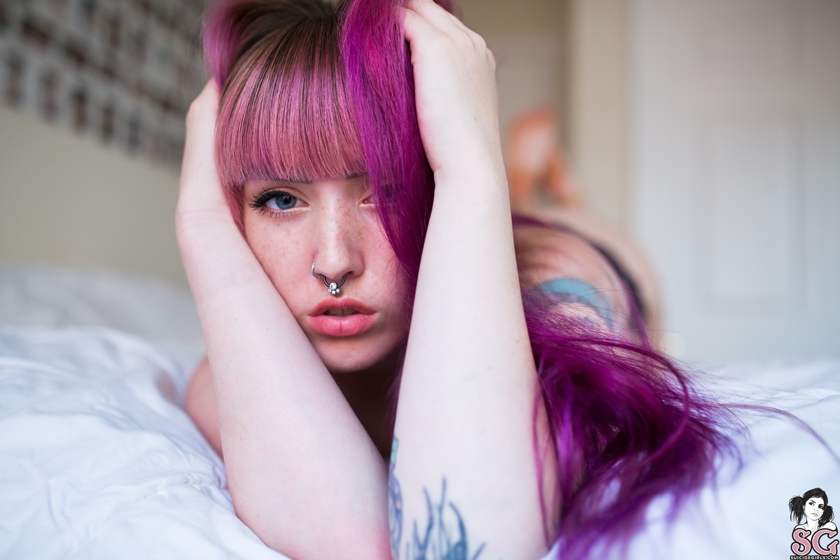 cygnet-dolce-07.jpg