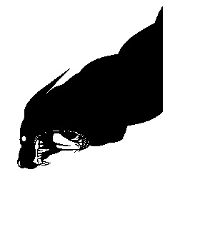 Untitled.jpg