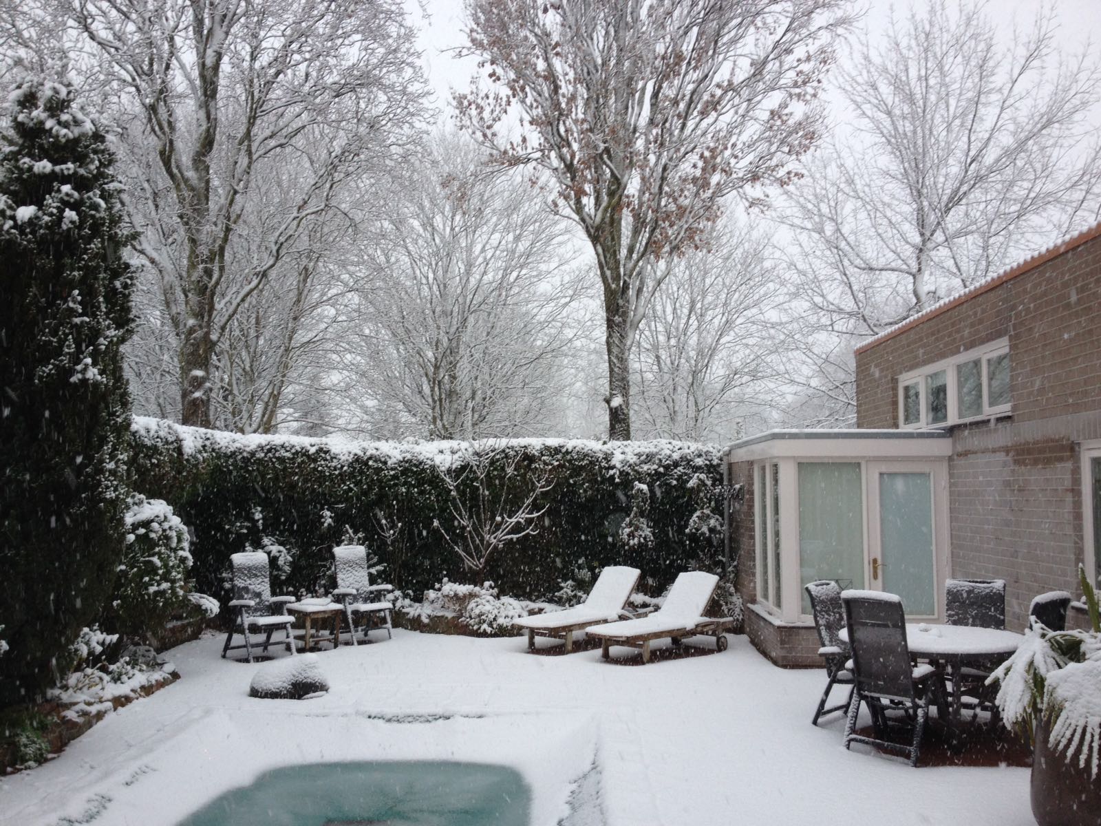Snow in Dongen