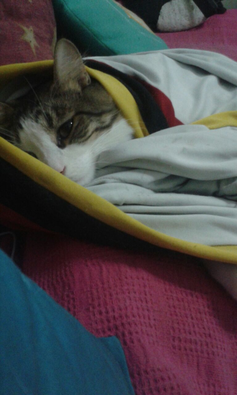 mito.jpg