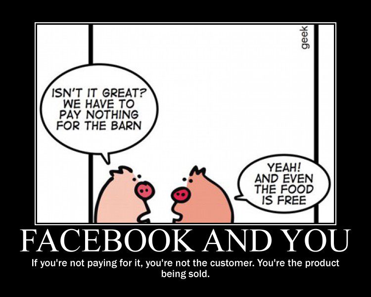 facebook.karikatur.jpg