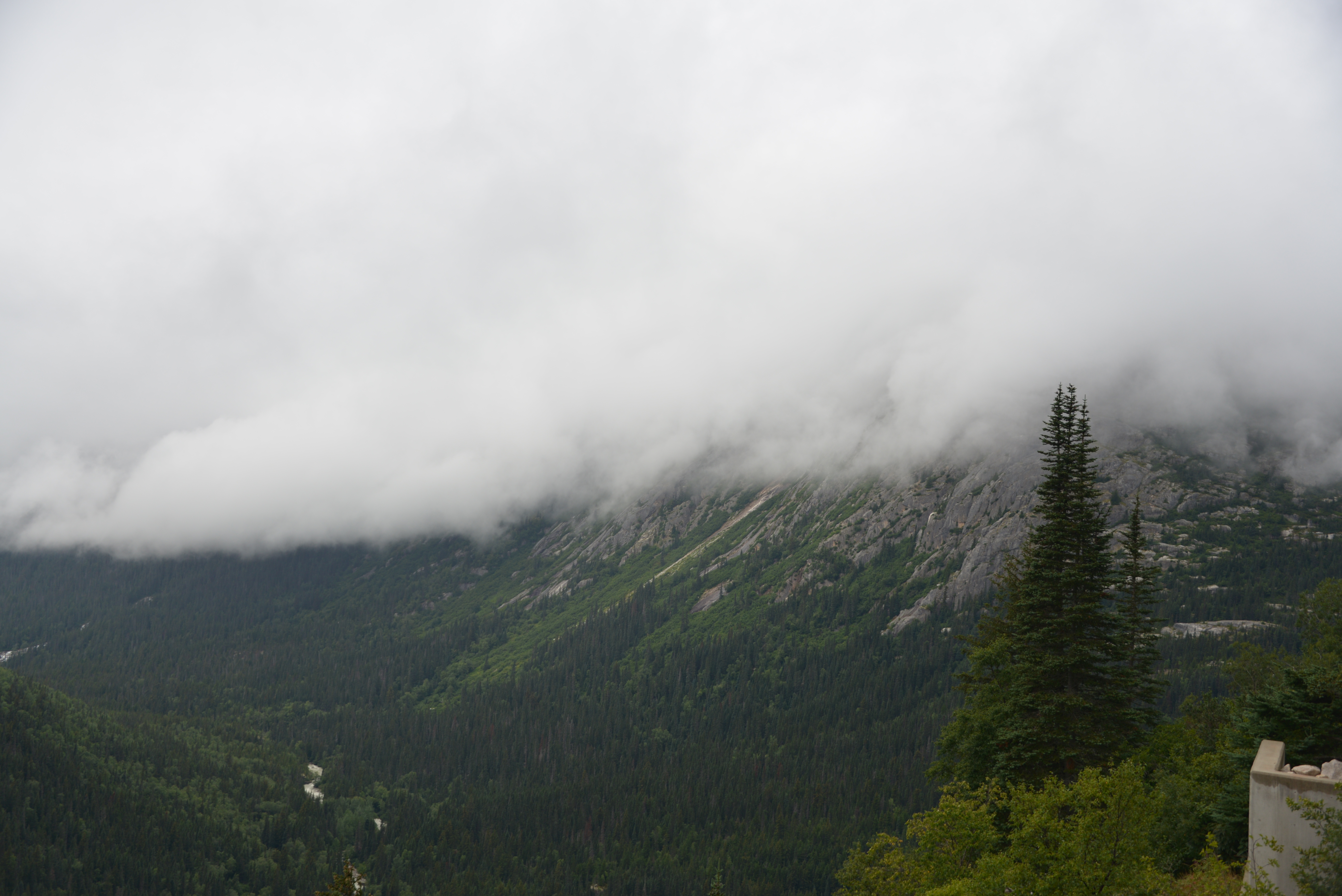 DSC_8223.JPG
