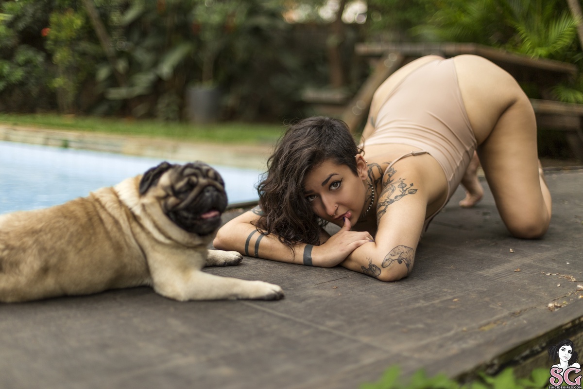 julha-ilovepugs-21.jpg
