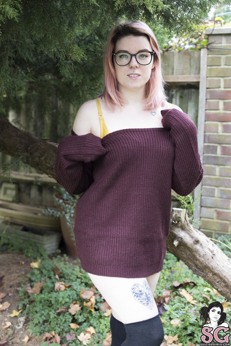 petal-autumnleaves-01.jpg
