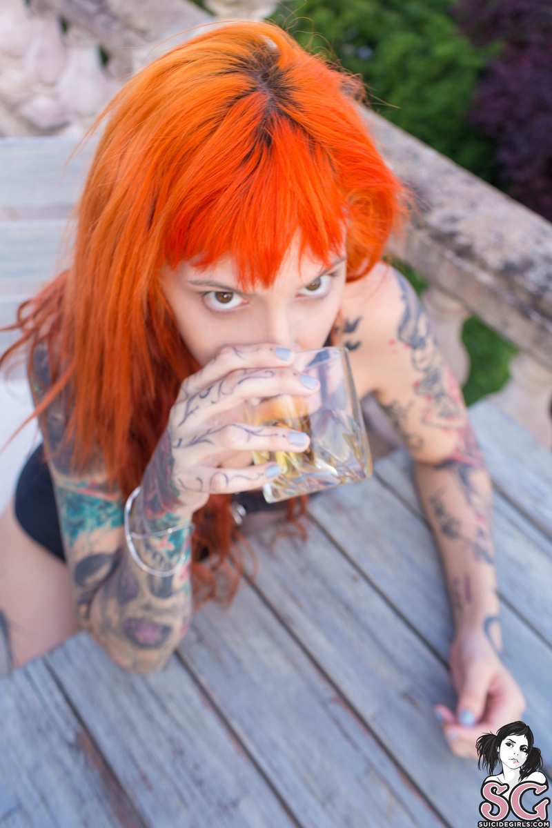 avrora-larroseurarrose-03.jpg