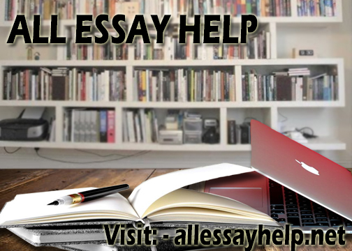 All Essay Help