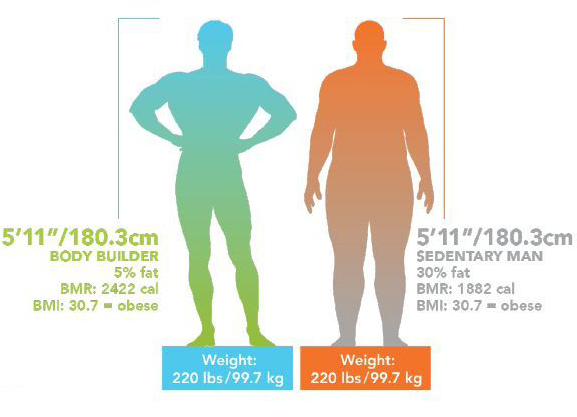 BMI_Truth.jpg