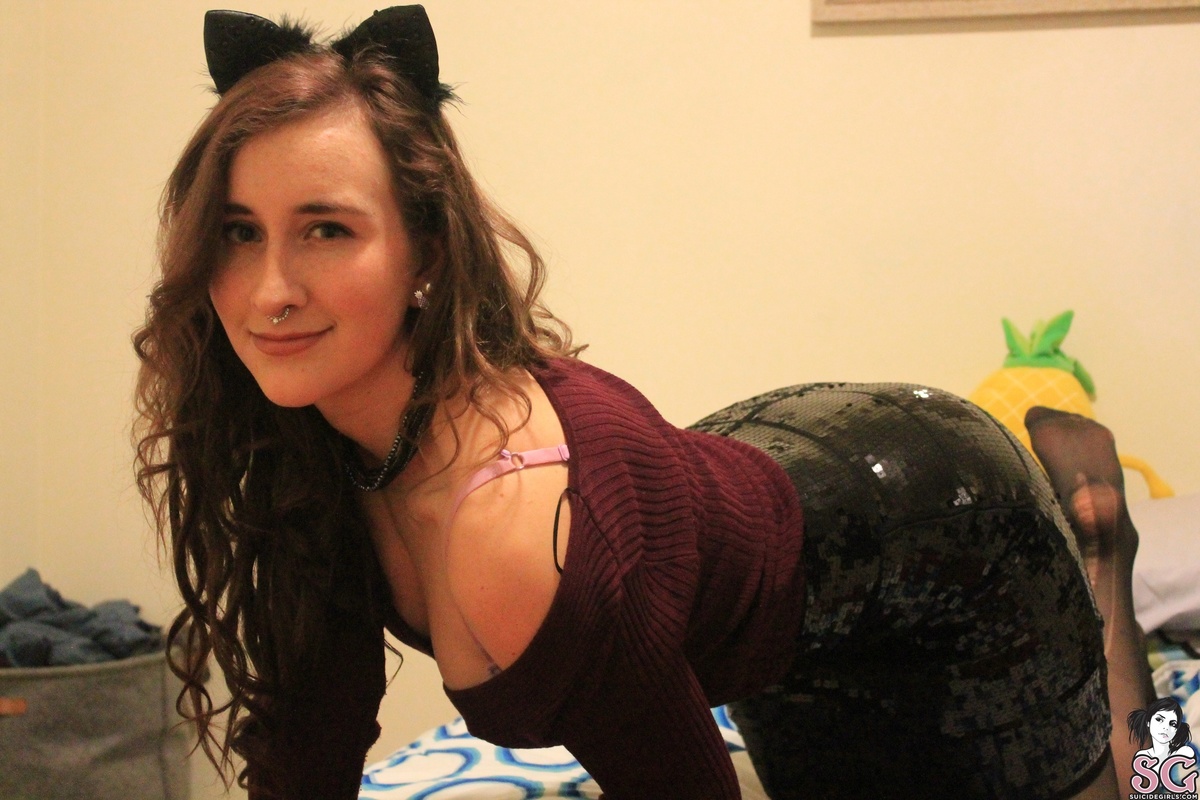 douiec-meow-03.jpg