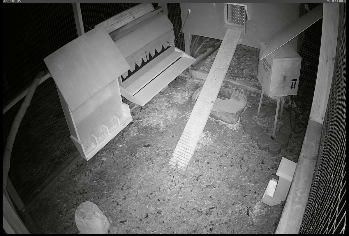 run-cam-01.jpg