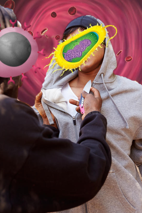 my-jurisdiction.png
