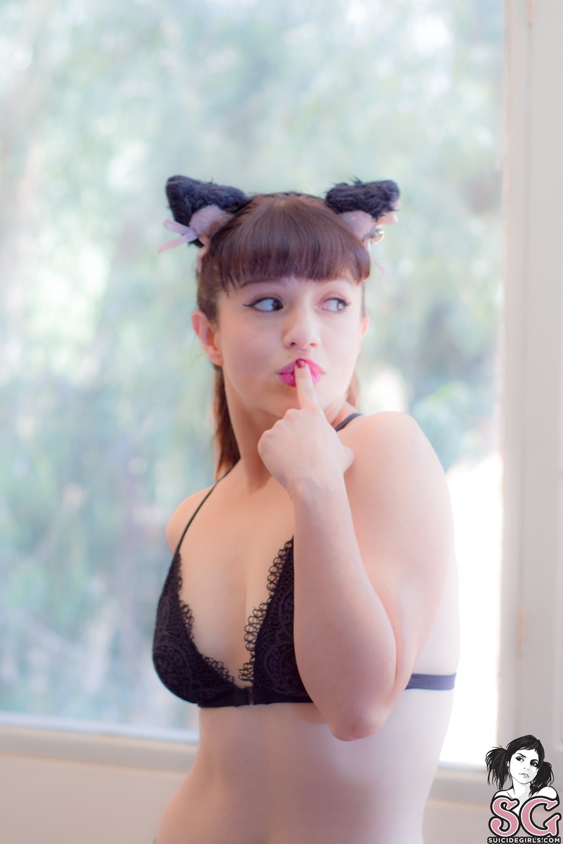 amia-morningamia-25.jpg