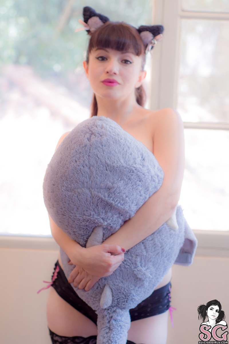 amia-morningamia-33.jpg