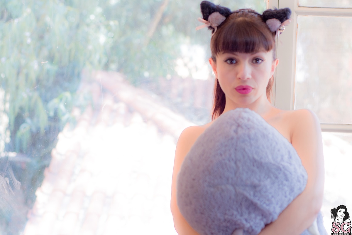 amia-morningamia-35.jpg