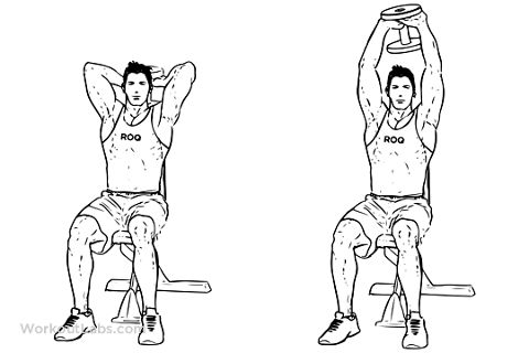 RIS.jpg