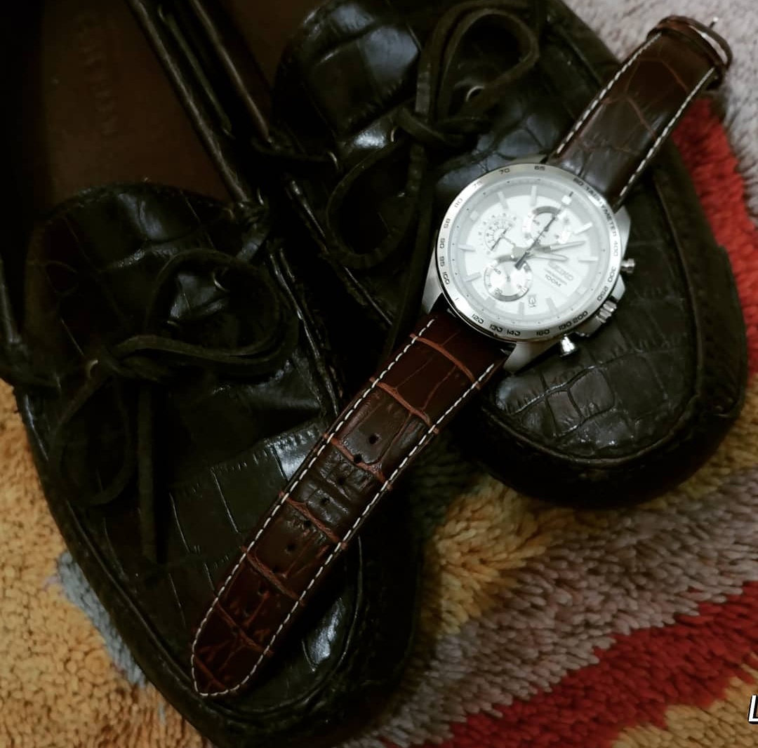 seiko w/ colehaan