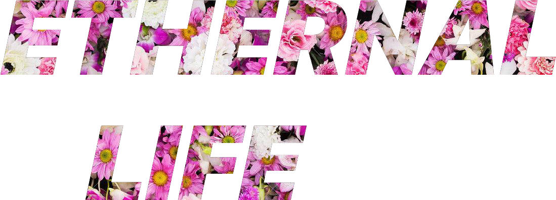 flowers.png