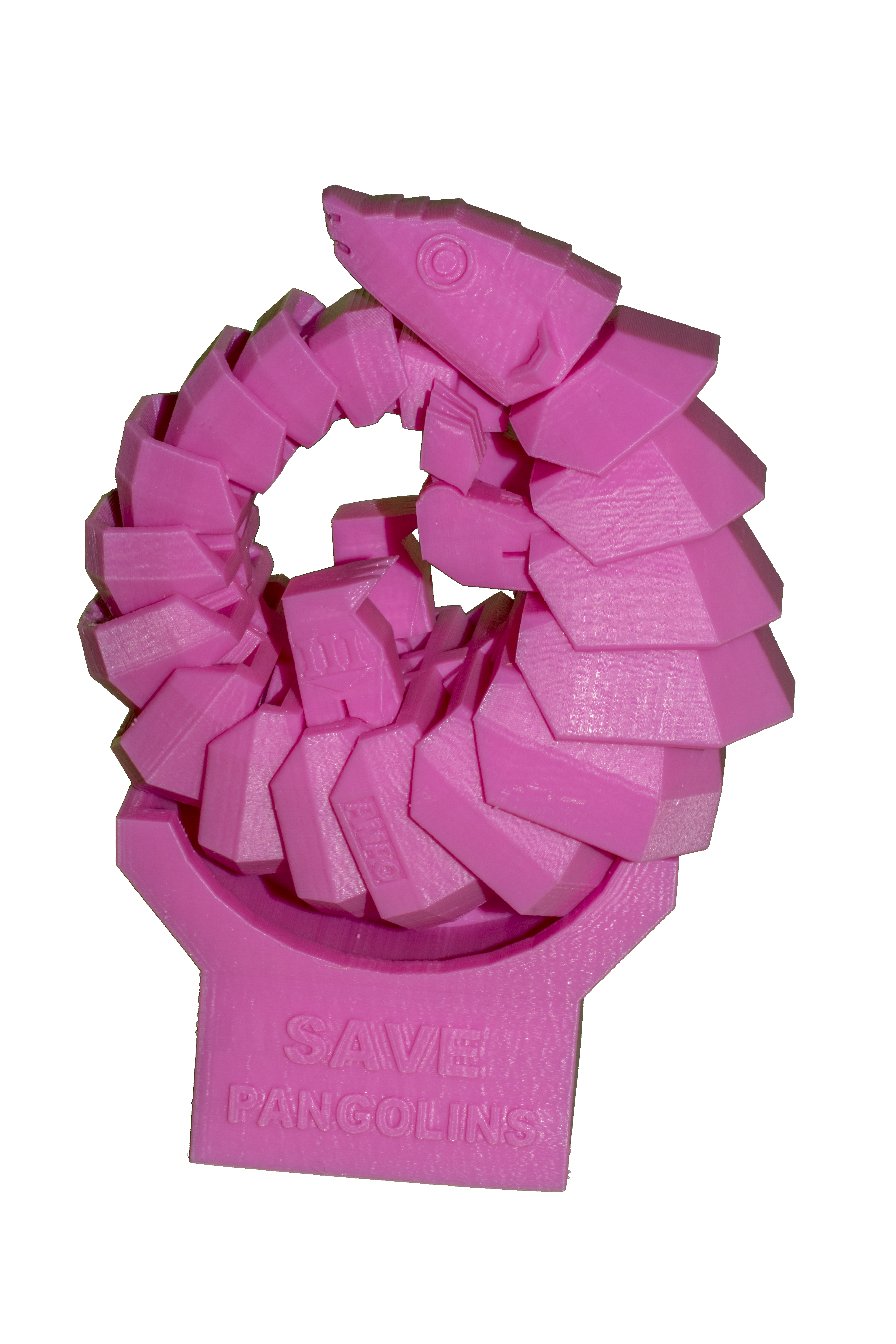 PangolinTransparent.png