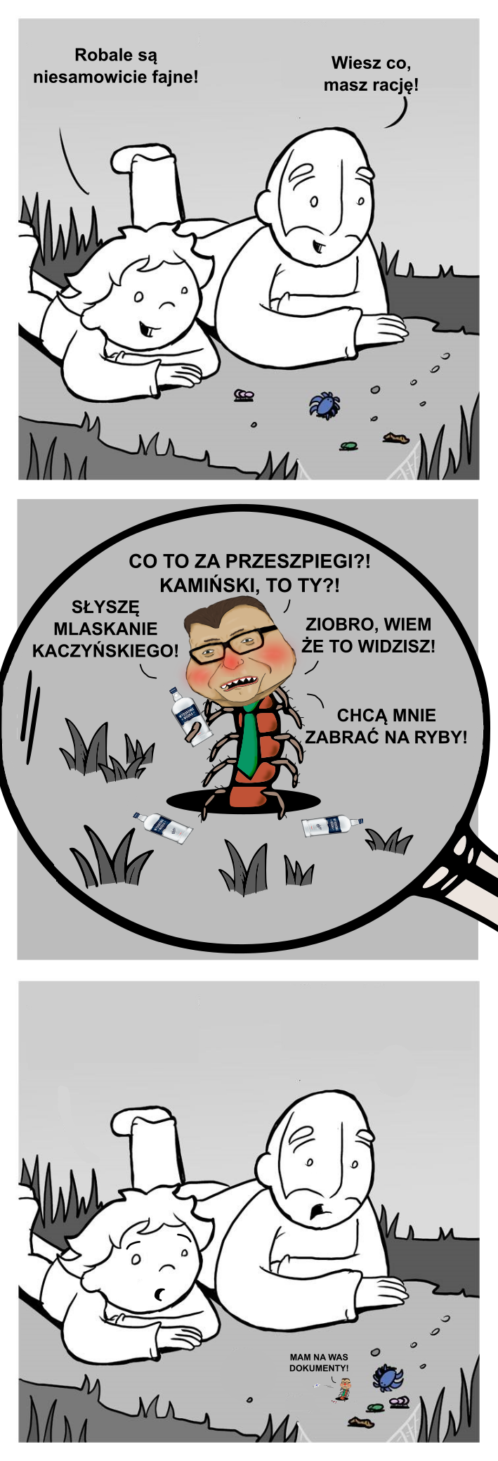 Stonoga