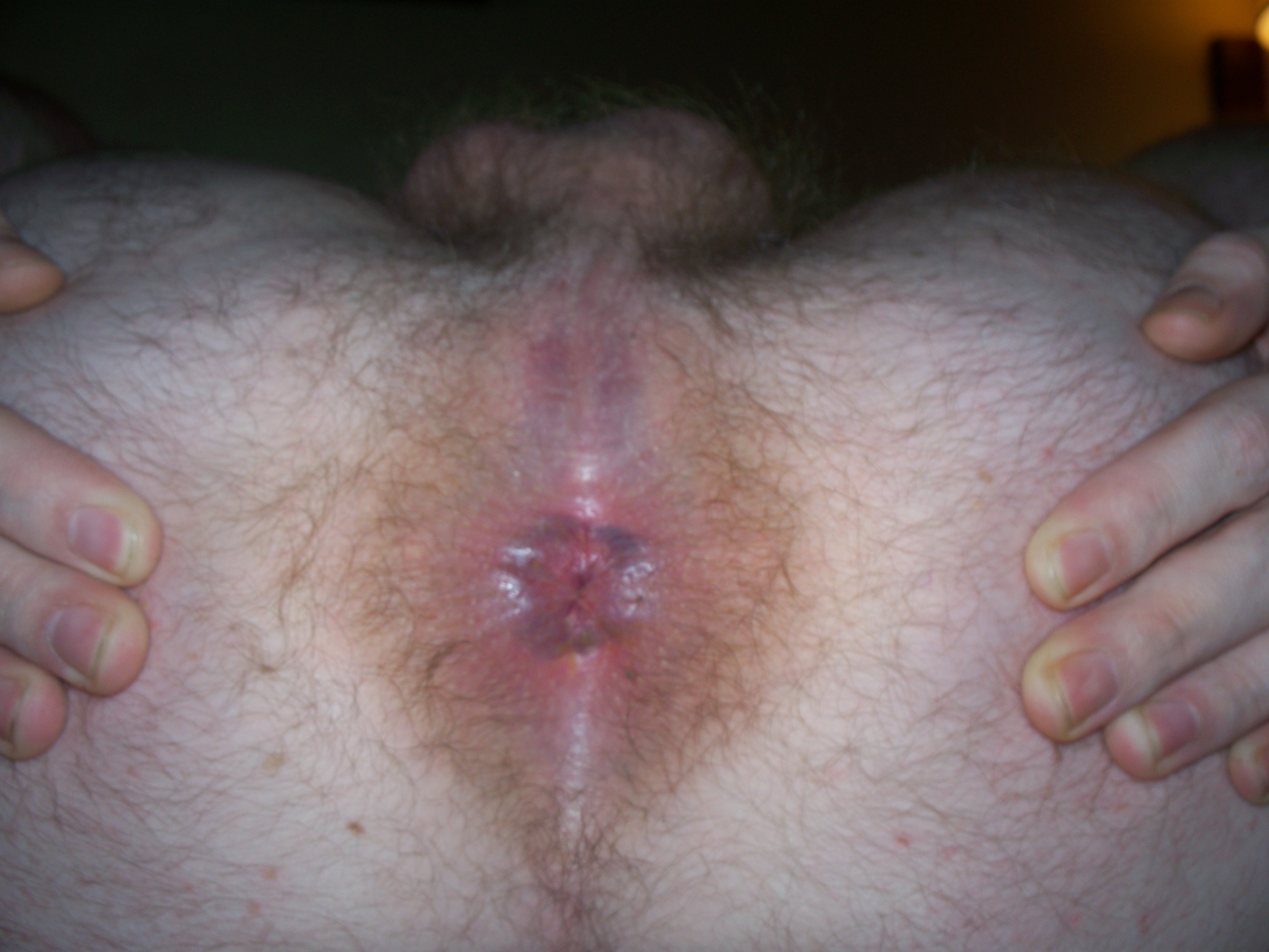 100_1737.jpg