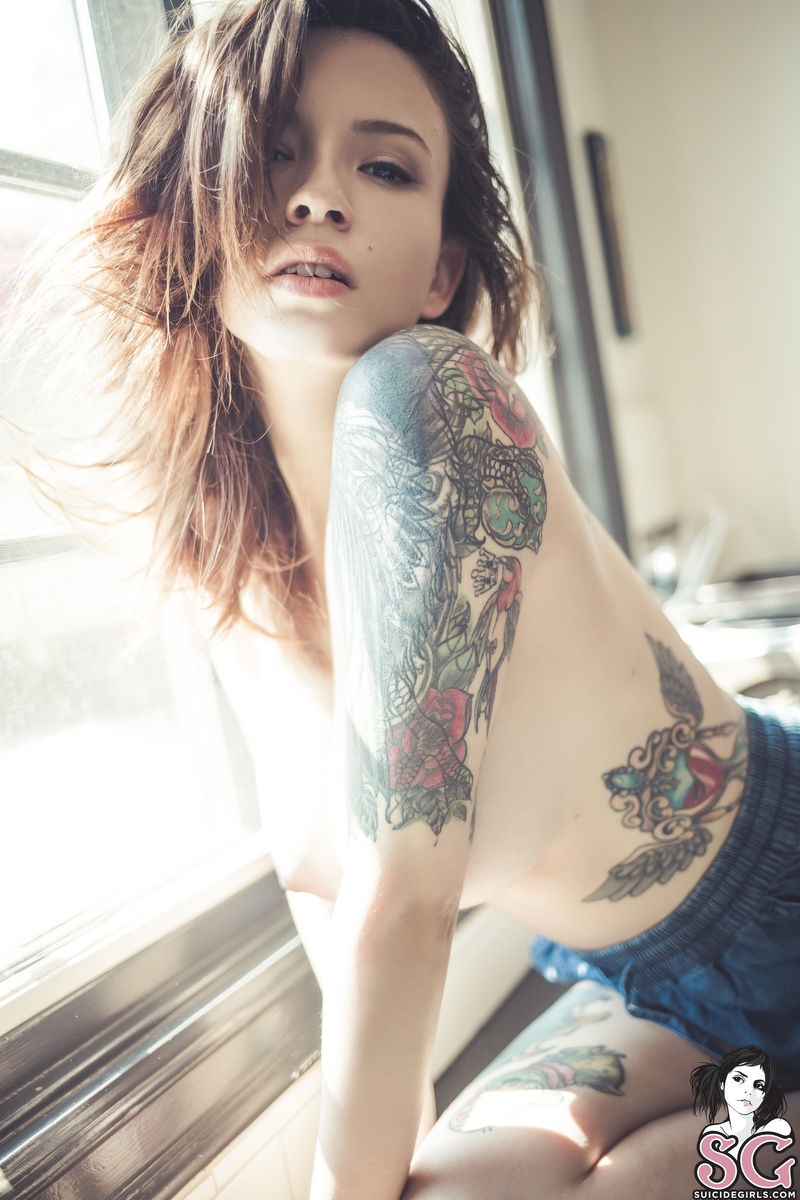 mille-voynich-15.jpg
